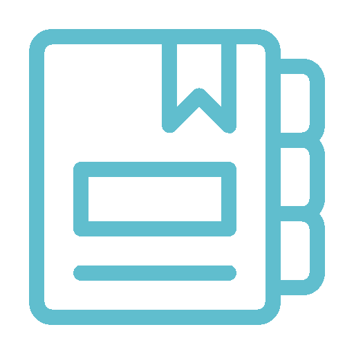 Preparation of a revenue plan